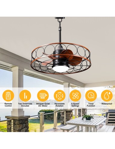 Oaks Aura 24" Outdoor Smart Ceiling...