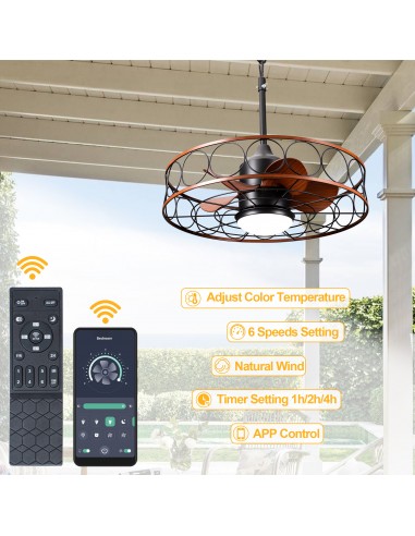 Oaks Aura 24" Outdoor Smart Ceiling...