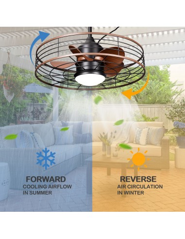 Oaks Aura 24" Outdoor Smart Ceiling...