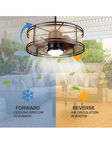 Oaks Aura 24" Outdoor Smart Ceiling...