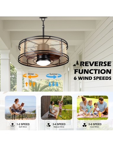 Oaks Aura 24" Outdoor Smart Ceiling...