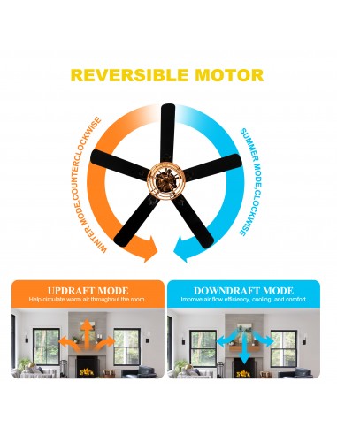 Oaks Aura 52" Modern Ceiling Fan with...