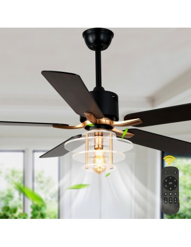 Oaks Aura 52" 5-Blade Ceiling Fan...