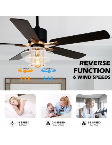 Oaks Aura 52" 5-Blade Ceiling Fan...