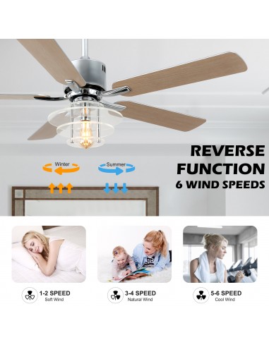 Oaks Aura 52" 5-Blade Ceiling Fan...