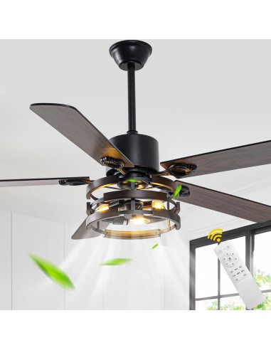 Oaks Aura 52" Modern Black Ceiling...