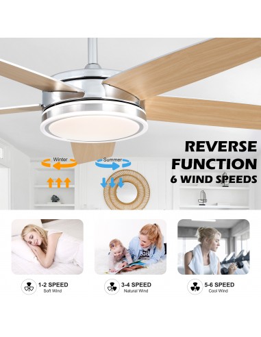 Oaks Aura 52" Modern Ceiling Fan with...