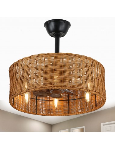 Oaks Aura 18" Wicker Ceiling Fan with...