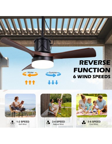 Oaks Aura 42” Outdoor Smart Ceiling...