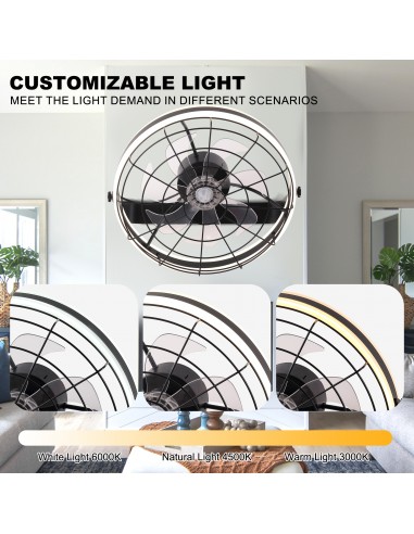 Oaks Aura 22 inch Black Wall Mounted...