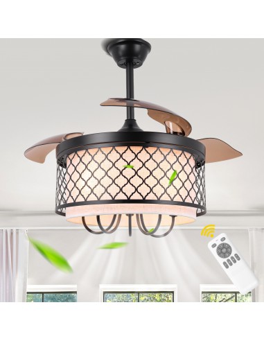 Oaks Aura 42" Black Invisible Ceiling...