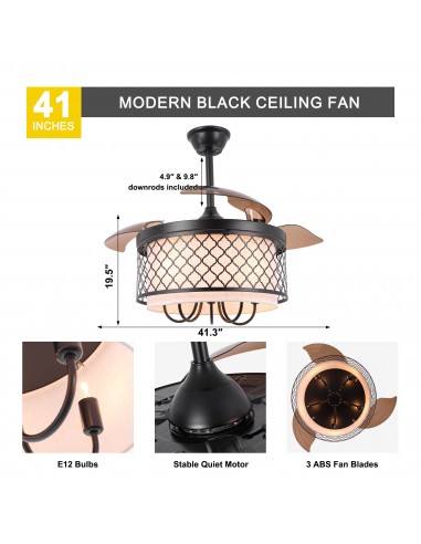 Oaks Aura 42" Black Invisible Ceiling...