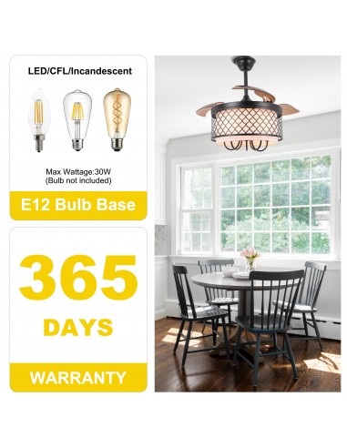 Oaks Aura 42" Black Invisible Ceiling...