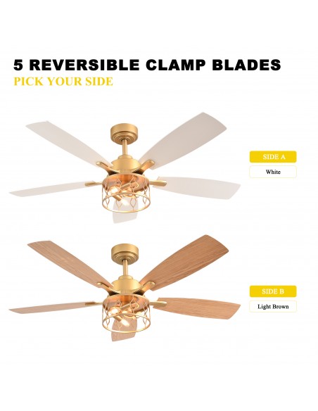 Oaks Aura 52” Modern Ceiling Fan with Light and Remote, 6-Speed Quiet DC Motor