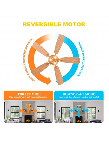 Oaks Aura 52” Modern Ceiling Fan with...