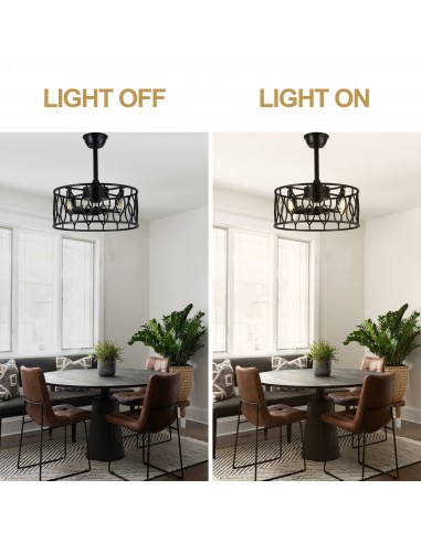 20" Drum Ceiling Fan with Light Kit...