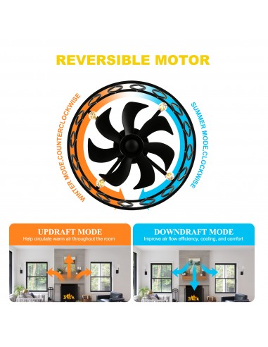 20" Drum Ceiling Fan with Light Kit...