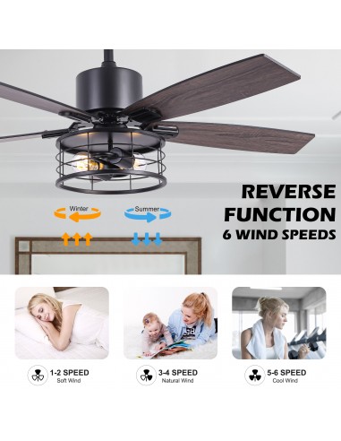 46" Black Modern Ceiling Fan with...