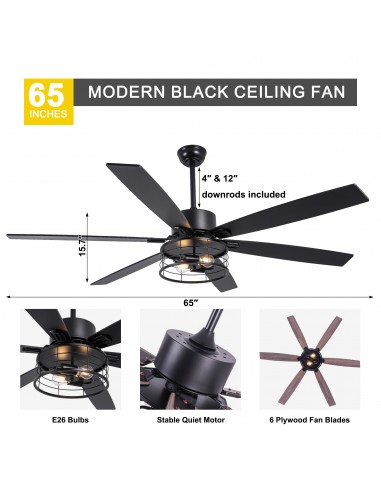 65"Black Modern Ceiling Fan with...