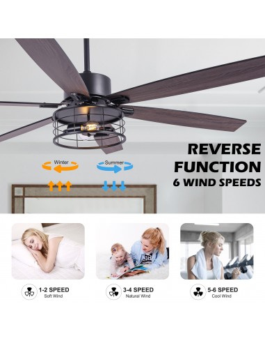 65"Black Modern Ceiling Fan with...