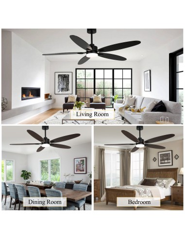 Oaks Aura 60” Ceiling Fan with LED...
