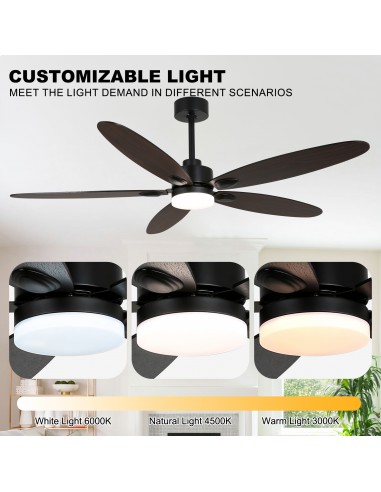 Oaks Aura 60” Ceiling Fan with LED...