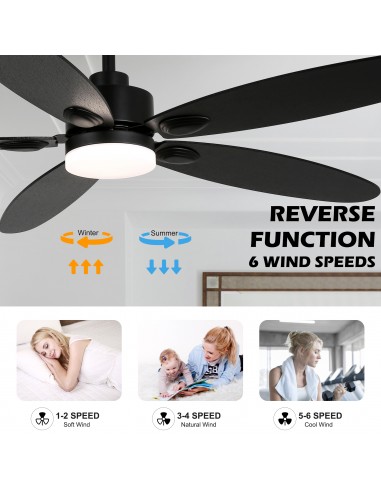 Oaks Aura 60” Ceiling Fan with LED...
