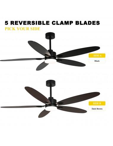 Oaks Aura 60” Ceiling Fan with LED...