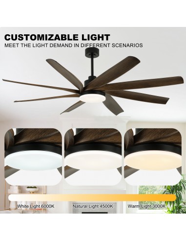 Oaks Aura 72” 8-Blade Classic...