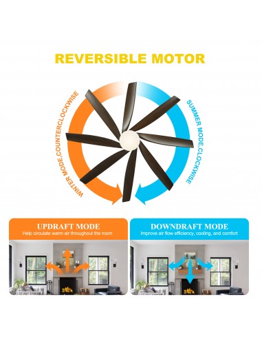 Oaks Aura 72” 8-Blade Classic...