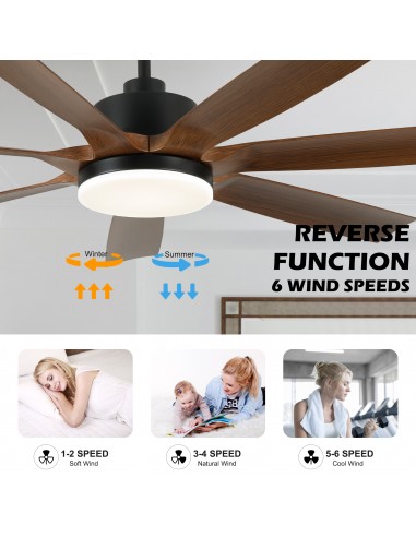 Oaks Aura 60" Black Ceiling Fan with...
