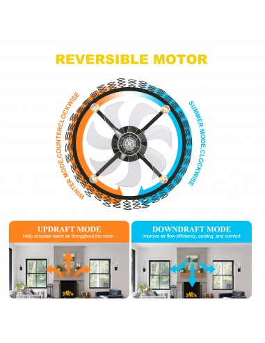 Oaks Aura 20” Black Drum Ceiling Fan...