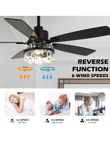 Oaks Aura 52” Black Crystal Ceiling...