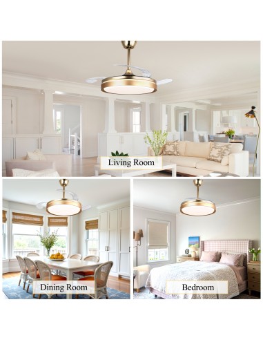 Oaks Aura 42-Inch LED Ceiling Fan...