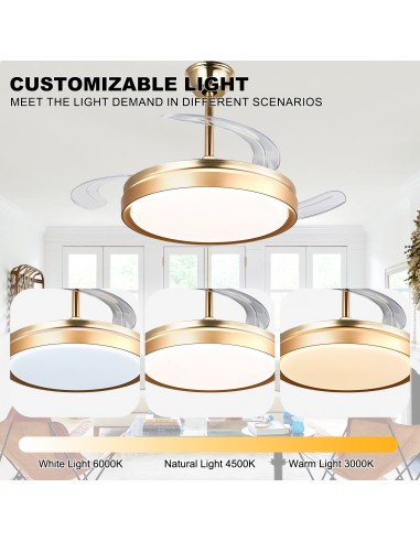 Oaks Aura 42-Inch LED Ceiling Fan...