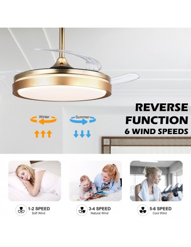 Oaks Aura 42-Inch LED Ceiling Fan...