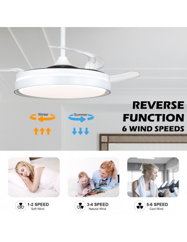 Oaks Aura 42-Inch LED Ceiling Fan...