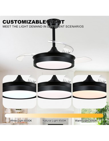 Oaks Aura 36Inch LED Ceiling Fan...