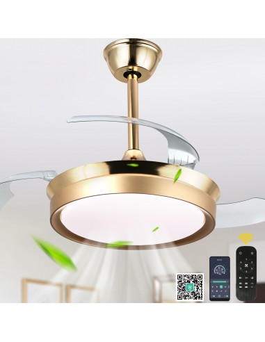 Oaks Aura 36Inch LED Ceiling Fan...