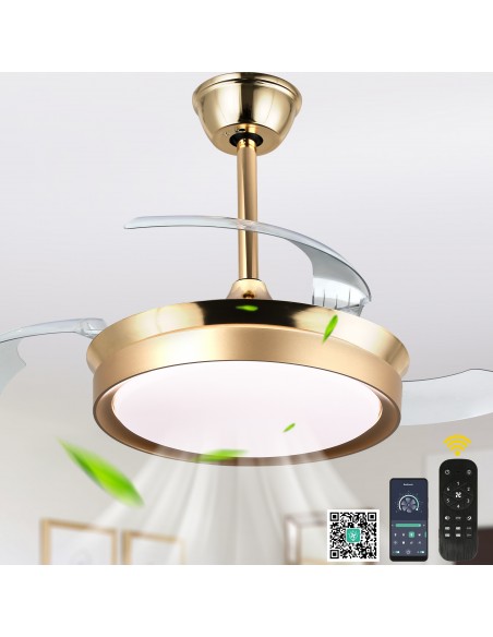 Oaks Aura 36Inch LED Ceiling Fan 6-Speed Latest DC Motor Retractable Chandelier