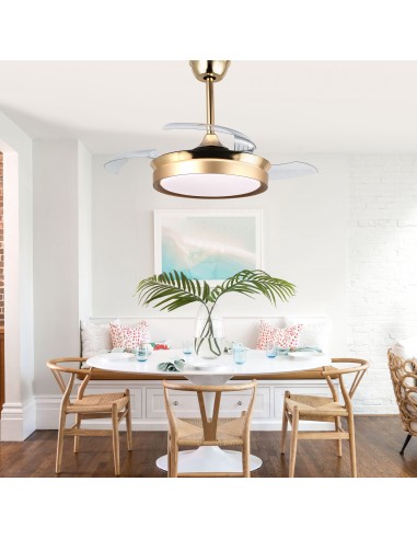 Oaks Aura 36Inch LED Ceiling Fan...