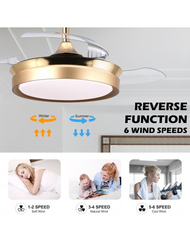 Oaks Aura 36Inch LED Ceiling Fan...