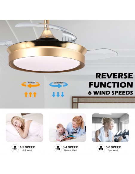 Oaks Aura 36Inch LED Ceiling Fan 6-Speed Latest DC Motor Retractable Chandelier