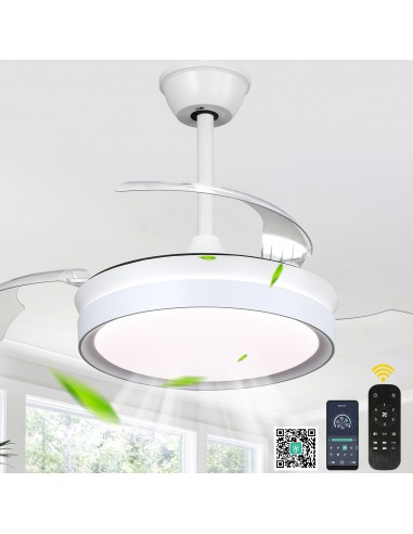 Oaks Aura 36Inch LED Ceiling Fan...