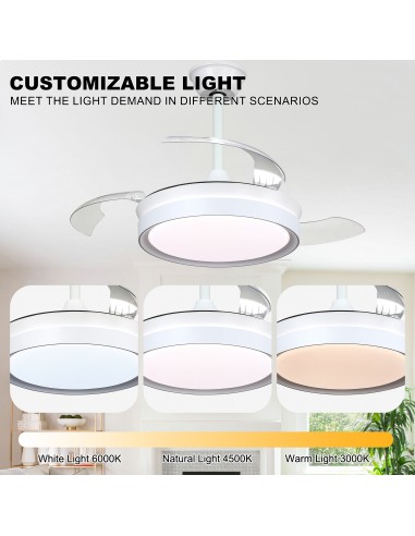 Oaks Aura 36Inch LED Ceiling Fan...