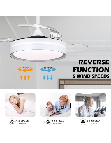 Oaks Aura 36Inch LED Ceiling Fan...