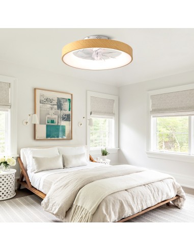 Oaks Aura 20" Smart RGB Ceiling Fan...