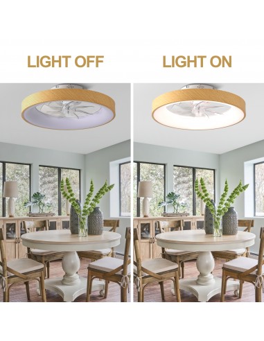 Oaks Aura 20" Smart RGB Ceiling Fan...