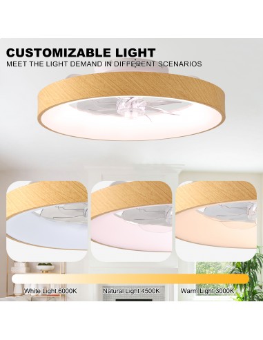 Oaks Aura 20" Smart RGB Ceiling Fan...