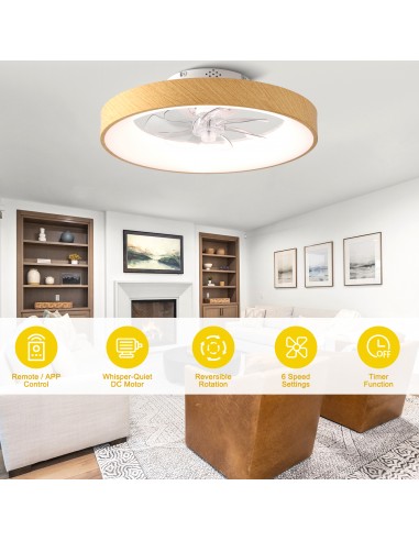 Oaks Aura 20" Smart RGB Ceiling Fan...